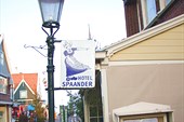 170-Отель «Spaander»